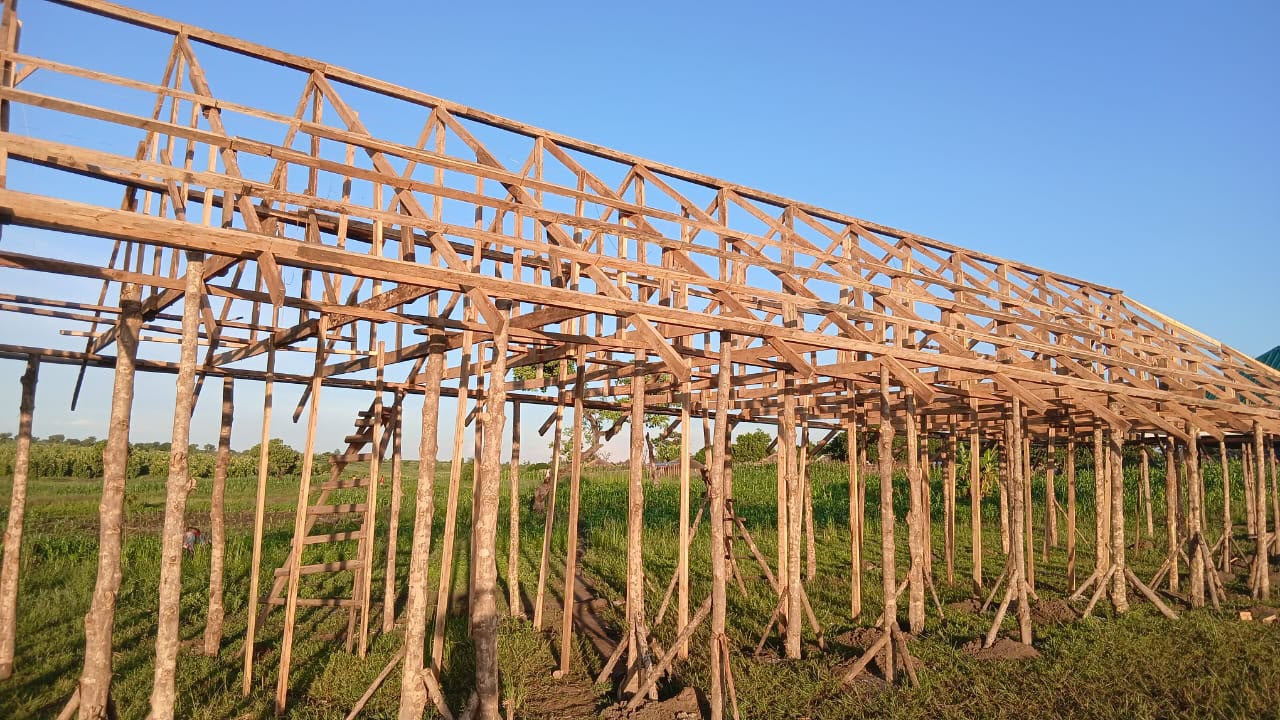 The timber roof truss structure rising across the full length of the classroom block before roofing sheets were installed.